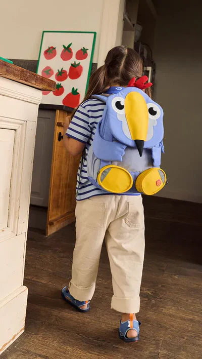 Toucan